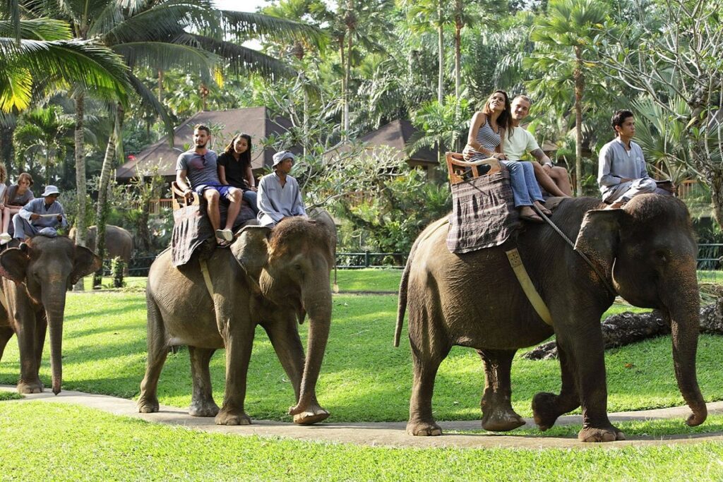 bali-elephant-safari-ride-tour